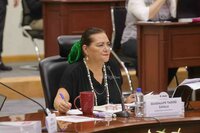 Doble elección en región Lagunera al disputarse Ayuntamientos en Durango y cargos judiciales
