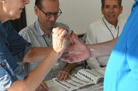 Doble elección en región Lagunera al disputarse Ayuntamientos en Durango y cargos judiciales