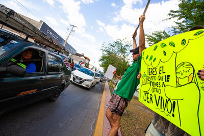 Manifestación contra retiro de árboles por la obra Abastos-Independencia