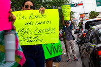 Manifestación contra retiro de árboles por la obra Abastos-Independencia