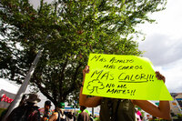 Manifestación contra retiro de árboles por la obra Abastos-Independencia