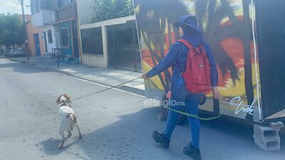 Manchas, el primer perrito detector de fugas de agua en México