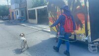 Manchas, el primer perrito detector de fugas de agua en México