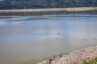 El Palmito tiene sed: la presa más grande de La Laguna enfrenta una nueva sequía