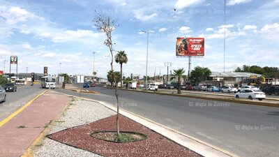 Árboles no sobreviven en obra del Giro Independencia