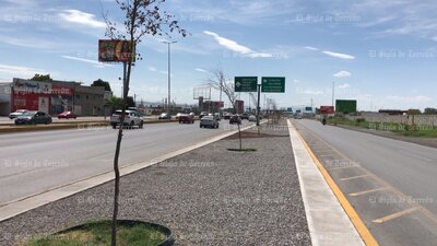 Árboles no sobreviven en obra del Giro Independencia