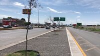 Árboles no sobreviven en obra del Giro Independencia