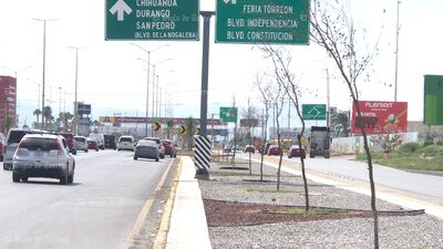 Árboles no sobreviven en obra del Giro Independencia