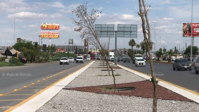 Árboles no sobreviven en obra del Giro Independencia