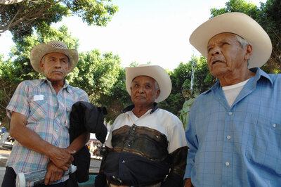 CARDENCHEROS CANTO CARDENCHE