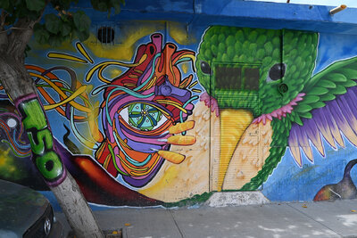 Artistas gomezpalatinos llenan de arte urbano al barrio de Santa Rosa