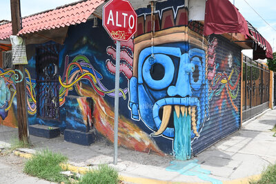 Artistas gomezpalatinos llenan de arte urbano al barrio de Santa Rosa