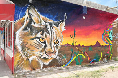 Artistas gomezpalatinos llenan de arte urbano al barrio de Santa Rosa
