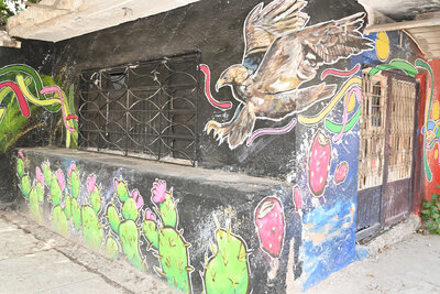 Artistas gomezpalatinos llenan de arte urbano al barrio de Santa Rosa
