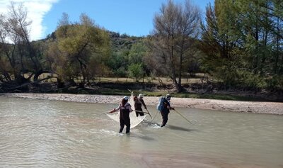 Investigadores de la UJED describen nueva especie de pez en el río Nazas; tenía cinco millones de años oculta