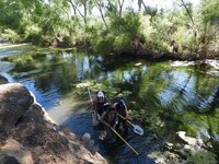 Investigadores de la UJED describen nueva especie de pez en el río Nazas; tenía cinco millones de años oculta