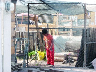 La utilización de materiales frágiles se repite en la reubicación de colonos del asentamiento Manuelito Carrillo, aunque ahora gozan de servicios como abastecimiento de agua, drenaje y luz.