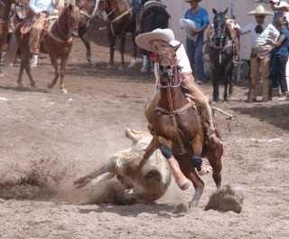 El equipo Palma Delgadita, campeón estatal de Zacatecas,  fue el ganador de la charreada amistosa celebrada el domingo anterior en el lienzo de Gómez. (Archivo)