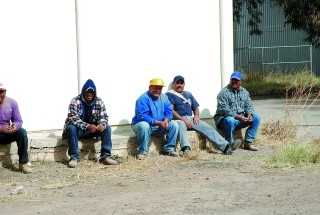 Con el cultivo de la variedad de frijol Pinto Saltillo se irán terminando los problemas de comercialización para los productores.