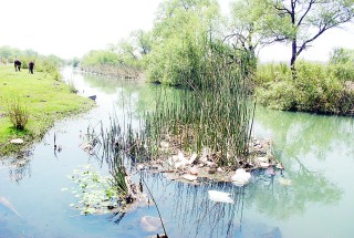 Con la construcción de la planta de aguas residuales en Lerdo de Tejada y el drenaje en Aquiles Serdán, dejarán de contaminar el Río Tunal.