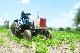 Ya terminó la primera etapa del Censo Agropecuario 2007, ahora hasta octubre iniciará el resto del operativo.