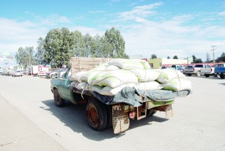 Durante el siglo pasado, en Guadalupe Victoria era más común ver carretas de mulas y burros; hoy todo se ha modernizado: la mancha del asfalto avanza y van perdiéndose las áreas verdes.