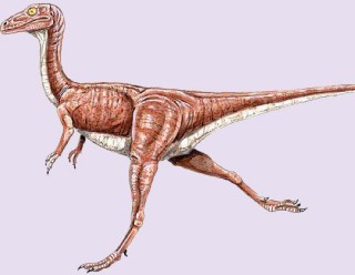 Pequeño dinosaurio, el animal más rápido sobre dos patas