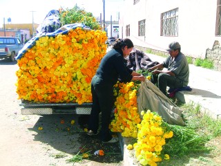 Aumentan 10 % los precios de flores en panteón de Victoria