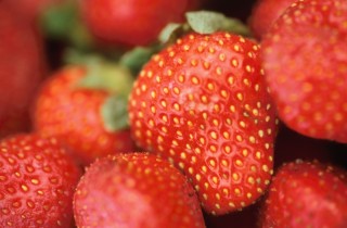 La fresa es una fruta de intenso sabor, llena de nutrientes y vitaminas que ayudan a la salud.