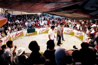 Las peleas de gallos, actividad prohibida en EU con excepción del estado de Louisiana, fueron llevadas a la península de Yucatán hace más de 30 años. (El Universal)