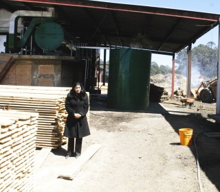 Alma Lilia Mena, funge como administradora del aserradero.
Ejidatarios de La Ciudad, municipio de Pueblo Nuevo.