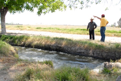 Una pequeña propiedad cercana al ejido La Unión utiliza las aguas negras de colonias del norte y oriente de Torreón.