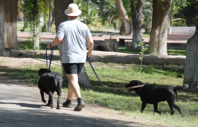 Muchas personas llevan a sus mascotas al bosque Venustiano Carranza, no obstante que está prohibido. (Archivo)