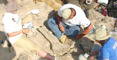 Arqueólogos estadounidenses trabajan en el yacimiento encontrado en el sureste de Utah.