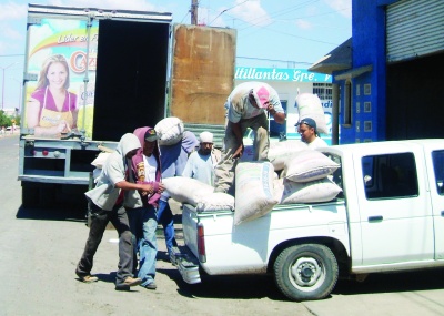 Los “coyotes” y las comercializadoras asignadas por el Gobierno son las únicos beneficiados por la comercialización del frijol, dejando así de nueva cuenta rezagados a los productores.