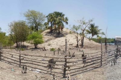 El de equipo de Arqueología Subacuática del INAH, descubrió este Cuyo prehispánico el zapotal, uno de los sitios arqueológicos de los mayas quienes llegaron a este Estado a través de ríos. (El Universal)