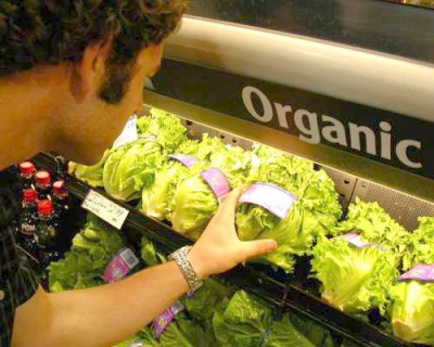 Los productos orgánicos son aquellos producidos sin pesticidas ni agroquímicos. 