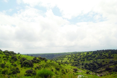 Postal / Lugar: Sierra Madre Occidental.