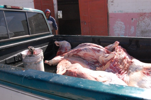 Venden carne sin sello