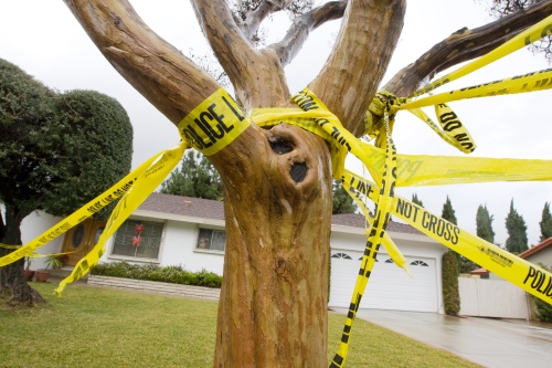 Se cree que entre los muertos en la casa en Covina, 40 kilómetros (25 millas) al este de Los Ángeles, estaban la ex esposa de Bruce Pardo y los padres de ésta. (AP)