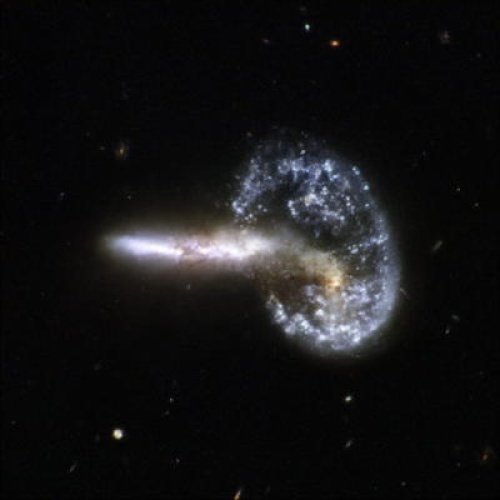 Imagen tomada por el telescopio espacial Hubble que muestra la colisión en la Osa Mayor de dos galaxias que resulta en una impresionante galaxia que forma una especie de anillo con su cola correspondiente.EFE