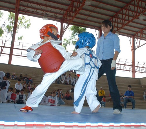 Mañana en la Ciudad de México, en un proceso que se espera muy disputado, elegirán al nuevo presidente de la Federación Mexicana de Tae Kwon Do. Elegirán presidente  del TKD en México