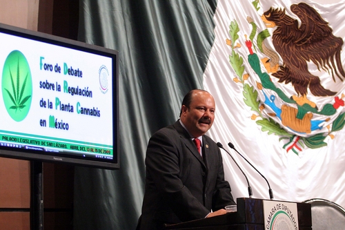 Participación. El diputado César Duarte (PRI), durante la inauguración del Foro de Debate sobre la Regulación de la Planta Cannabis en México, en el Palacio Legislativo de San Lázaro.