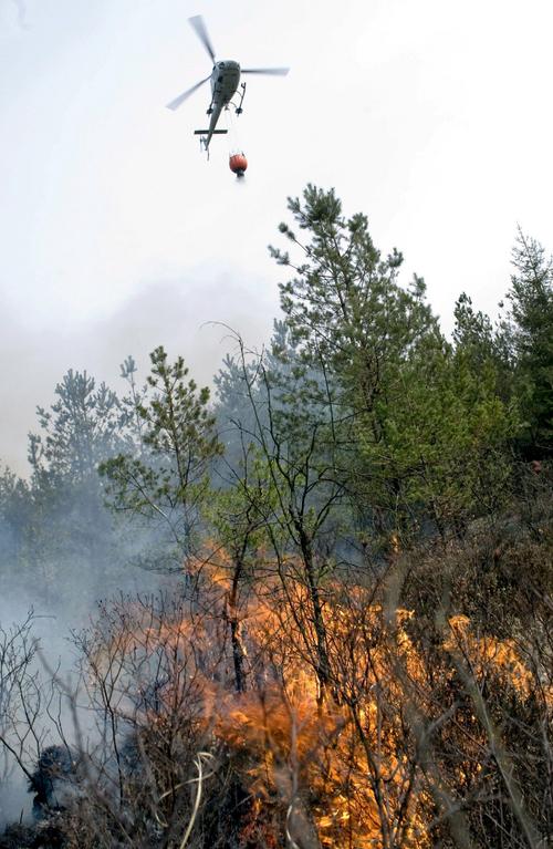 Fuego. Los incendios forestales son muy frecuentes en Coahuila y tienen a la entidad en el segundo lugar nacional con varias hectáreas dañadas. 