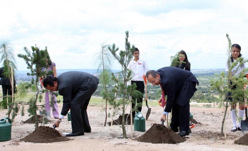 Ineficaces. A pesar de que se ha denunciado la ineficacia de Procampo y ProÁrbol el Gobierno de Felipe Calderón busca inyectarles más recursos.  ARCHIVO