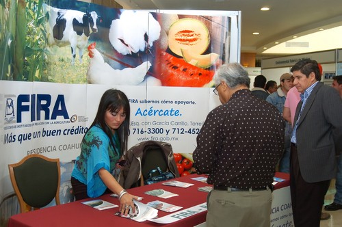 Arranca. Ayer se llevó a cabo el foro del Día del Establo Verde 2009, el cual tuvo una gran asistencia de parte de productores del sector agropecuario de La Laguna y de otras regiones del país. 