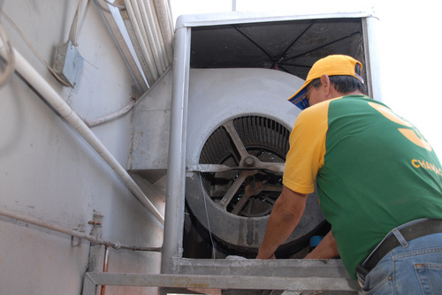 Escondidos. Hay que sacar el agua de los aparatos de aire para evitar la proliferación del mosco transmisor del dengue.  EL SIGLO DE TORREÓN / PRIMITIVO GONZÁLEZ