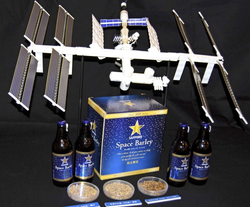 La marca japonesa de bebidas Sapporo presentó en Tokio la primera cerveza del mundo producida con cebada cultivada en el espacio, que se pondrá a la venta de forma limitada entre aquellos que lo soliciten a través de internet. (EFE)