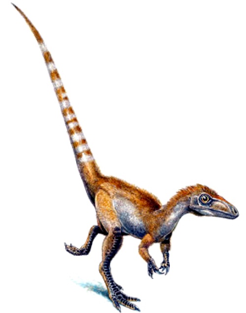 La primera evidencia sólida de la pigmentación de un dinosaurio se descubrió en las plumas fosilizadas de la cola del Sinosauropteryx, un pequeño dinosaurio carnívoro, según un artículo publicado en el sitio del jornal científico Nature.