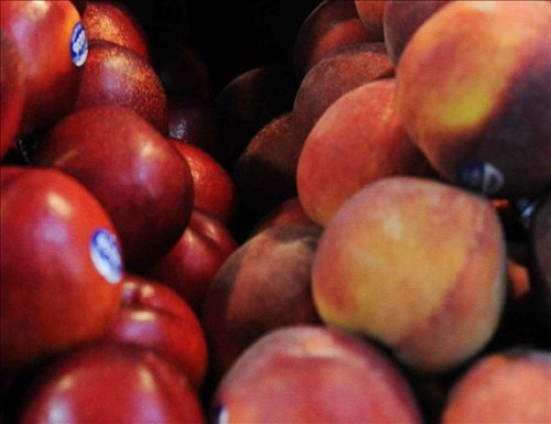 Científicos que lograron la secuencia del genoma del durazno aseguraron hoy que ese logro no sólo ayudará a mejorar su calidad sino que también contribuirá a la de otras frutas de la misma familia.